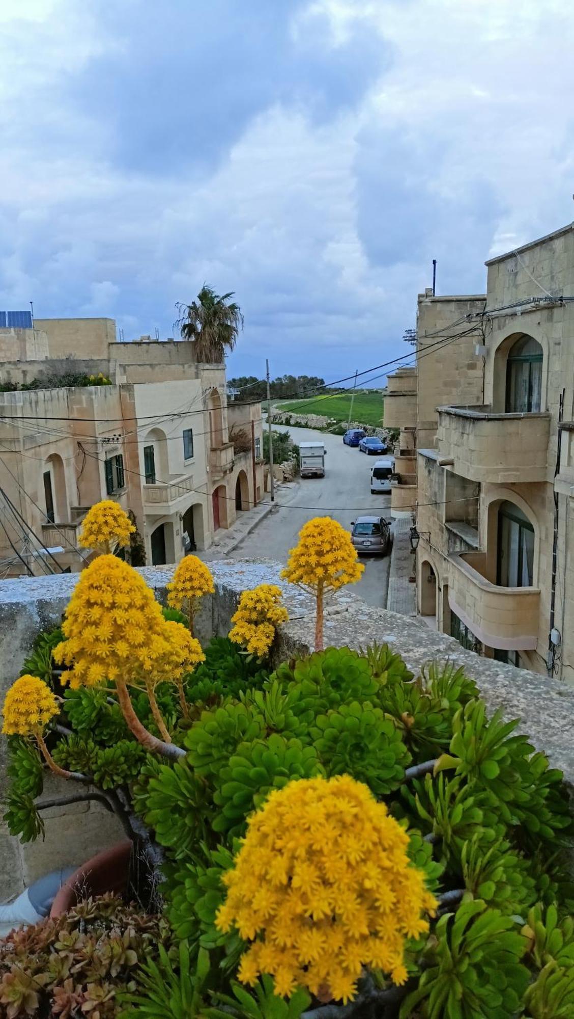 Arthome - Guest Rooms Għarb Екстериор снимка